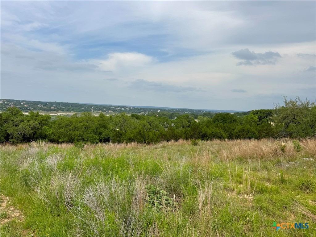 2253 Bella Vista Property Photo 3