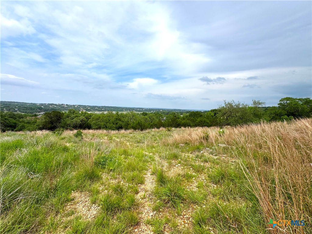 2253 Bella Vista Property Photo 9