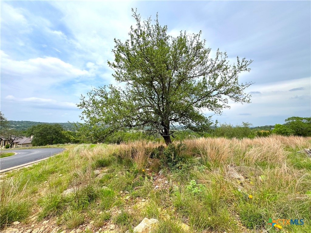 2253 Bella Vista Property Photo 13