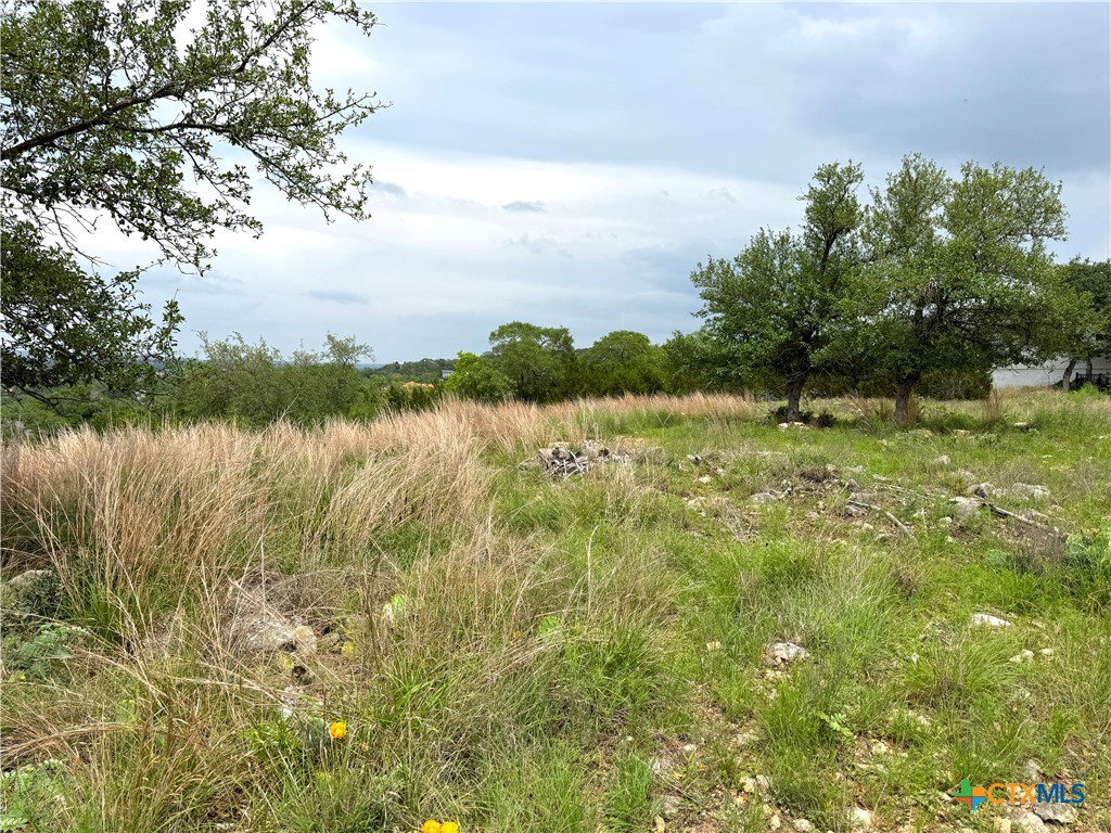 2253 Bella Vista Property Photo 14