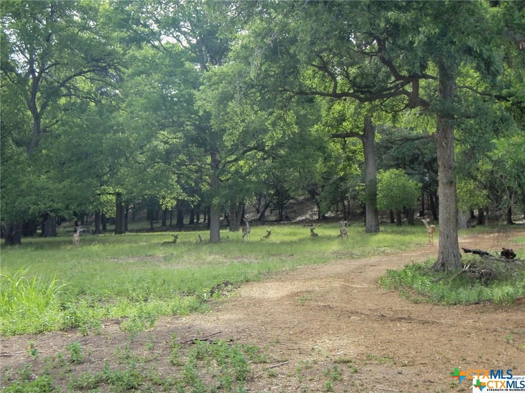 2253 Bella Vista Property Photo 24