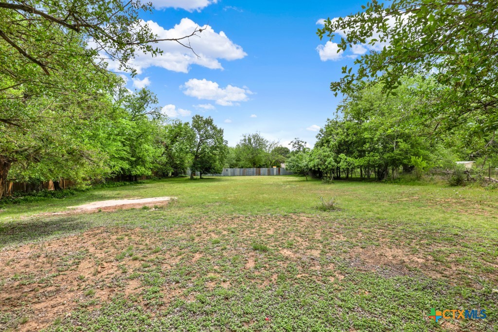 1959 Gruene Road Property Photo 31