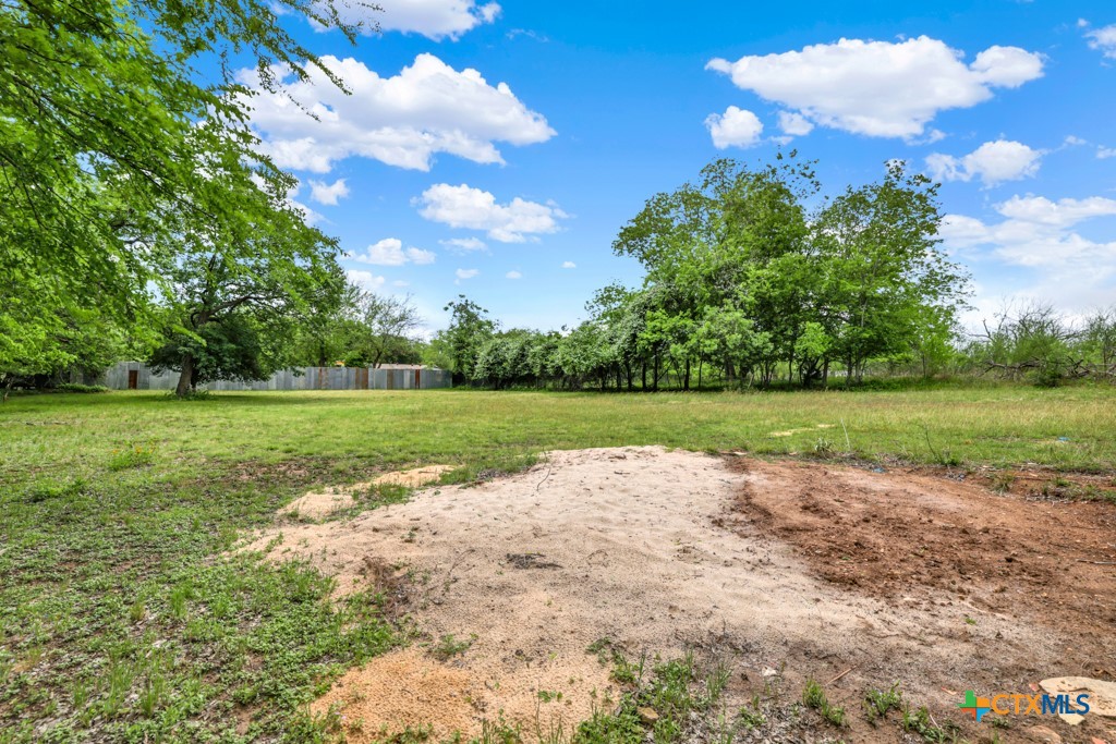 1959 Gruene Road Property Photo 33