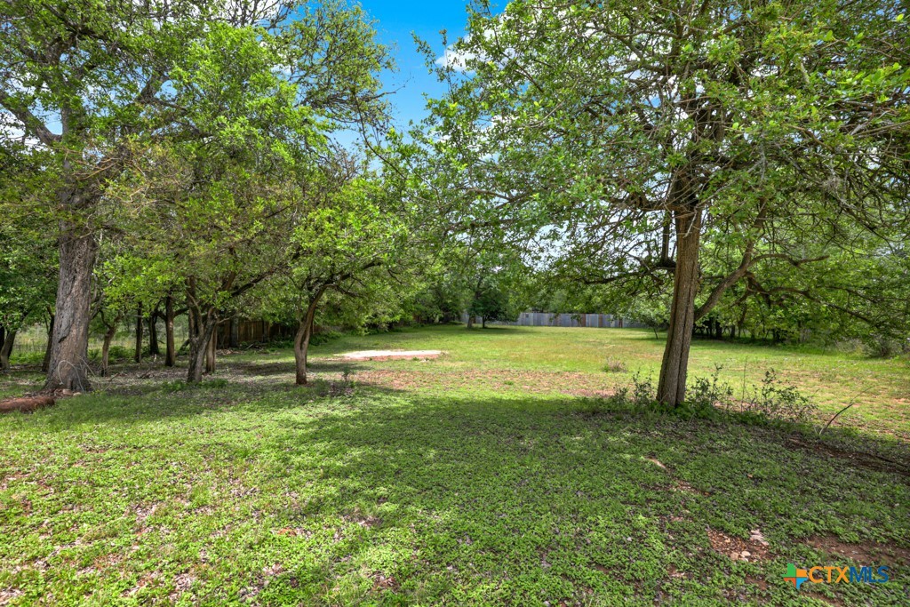 1959 Gruene Road Property Photo 34