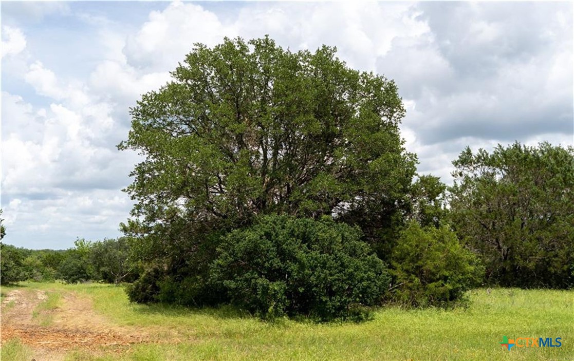 12323 Crows Ranch Road Property Photo 3