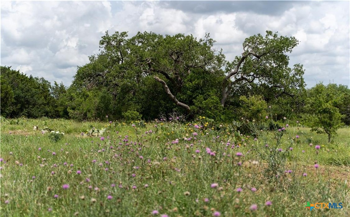 12323 Crows Ranch Road Property Photo 6