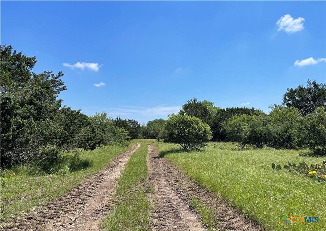12323 Crows Ranch Road Property Photo 8