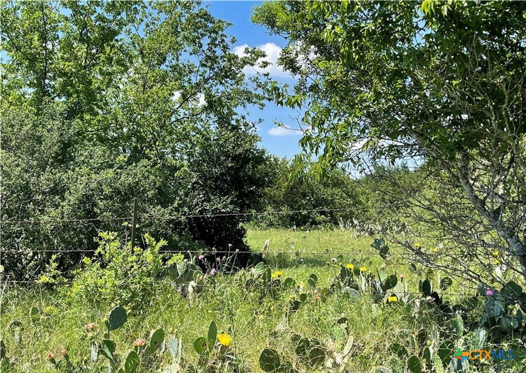 12323 Crows Ranch Road Property Photo 10