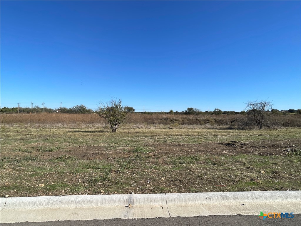 2020 Botts Drive Property Photo 1