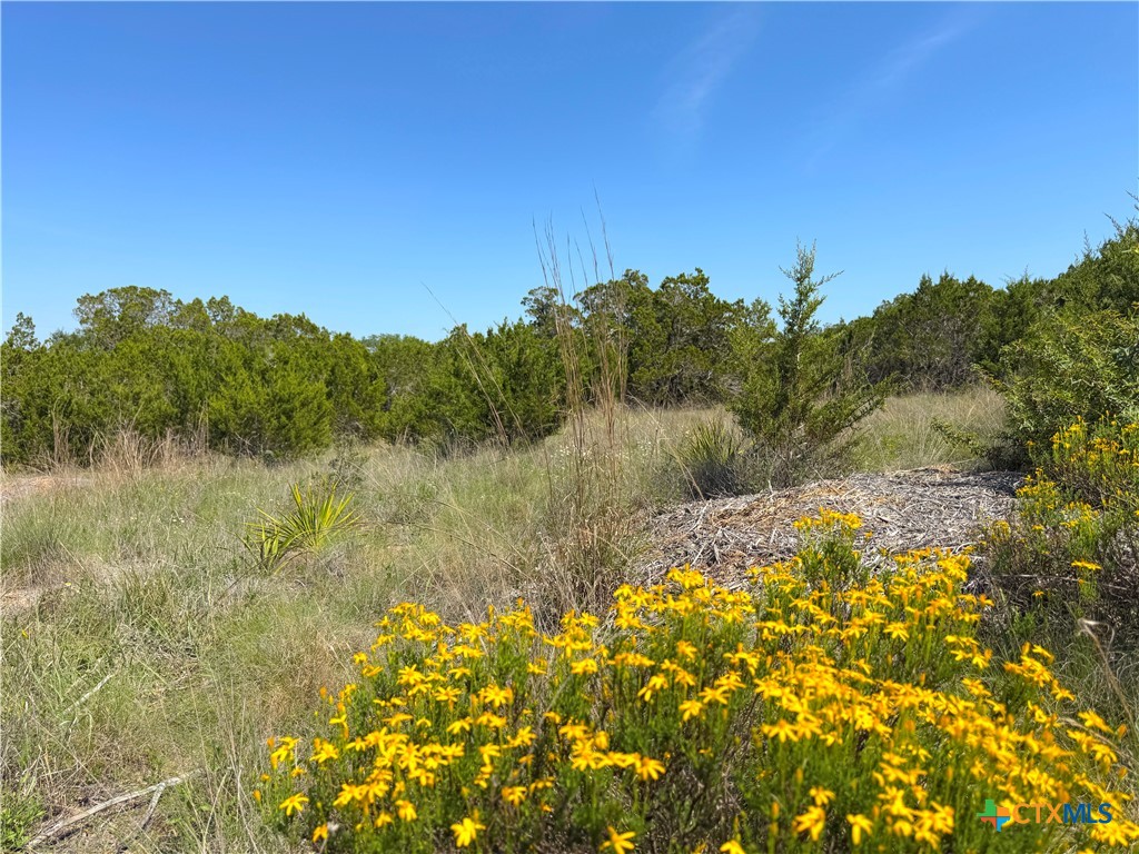 0 TBD San Salvadore Property Photo 1