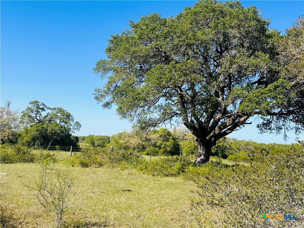 11610 E State Hwy 111 Property Photo 33