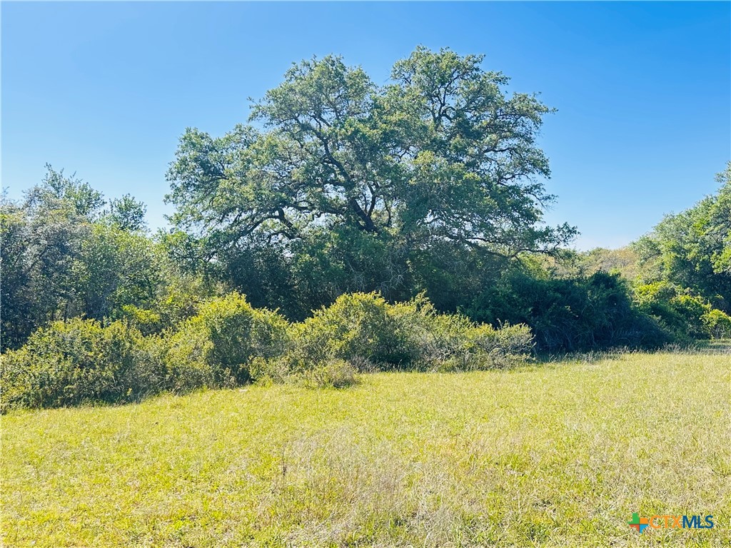 11610 E State Hwy 111 Property Photo 42