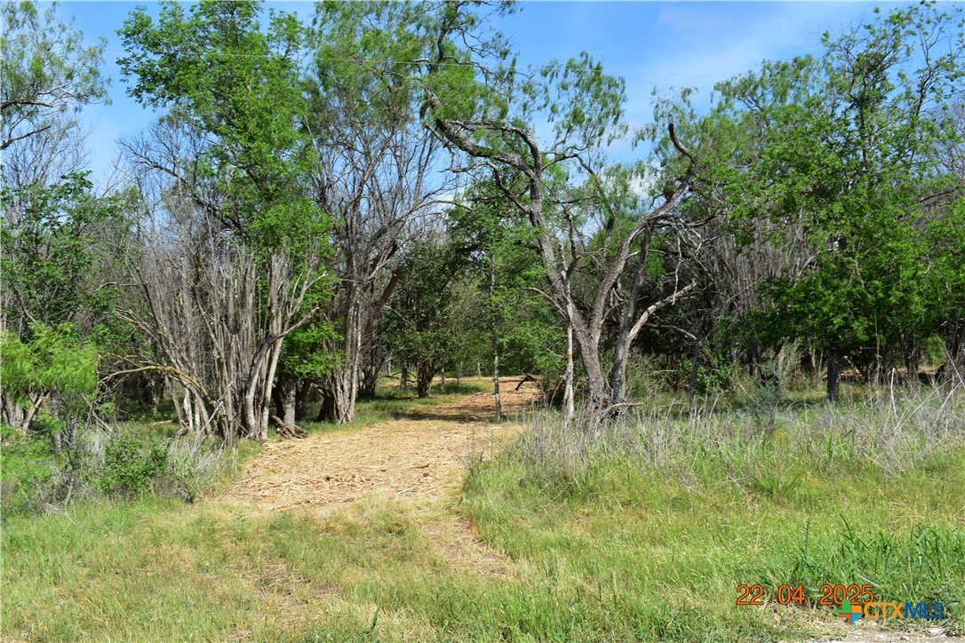 000tbd Caney Creek Road Property Photo 1
