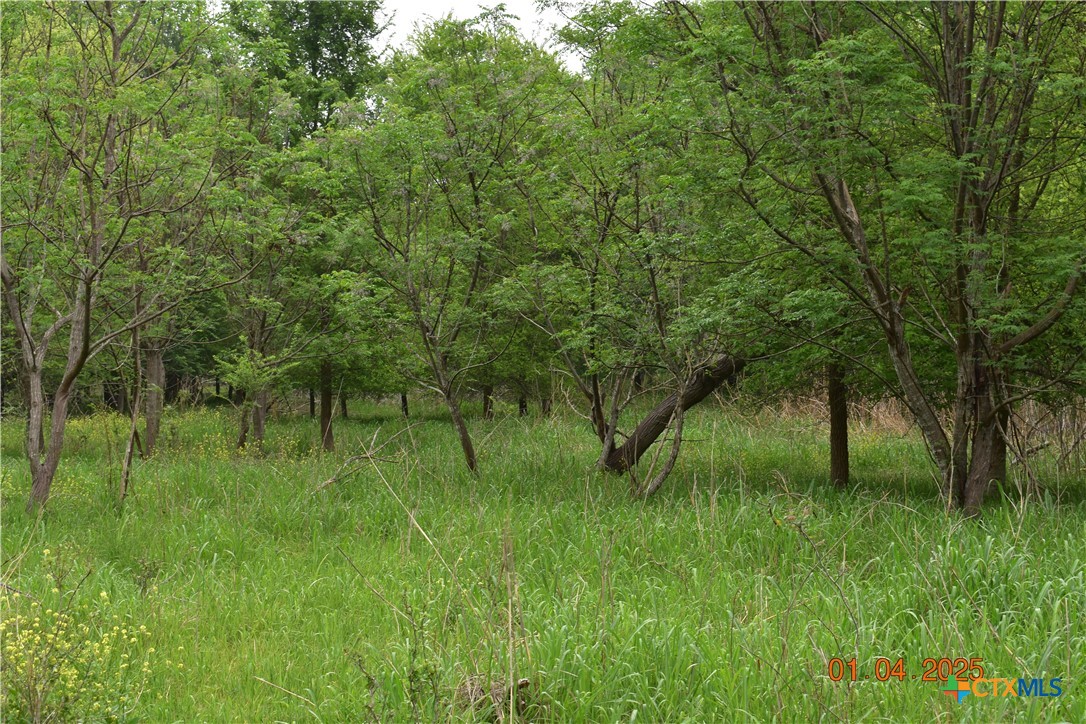 000tbd Caney Creek Road Property Photo 2