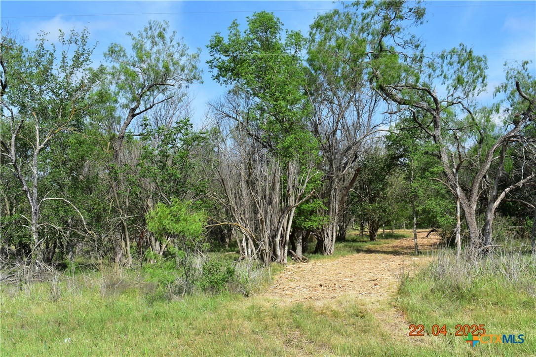 000tbd Caney Creek Road Property Photo 3