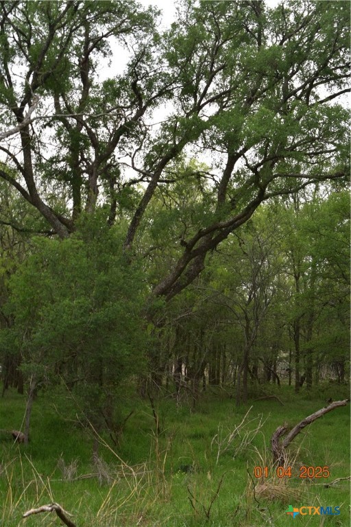 000tbd Caney Creek Road Property Photo 4