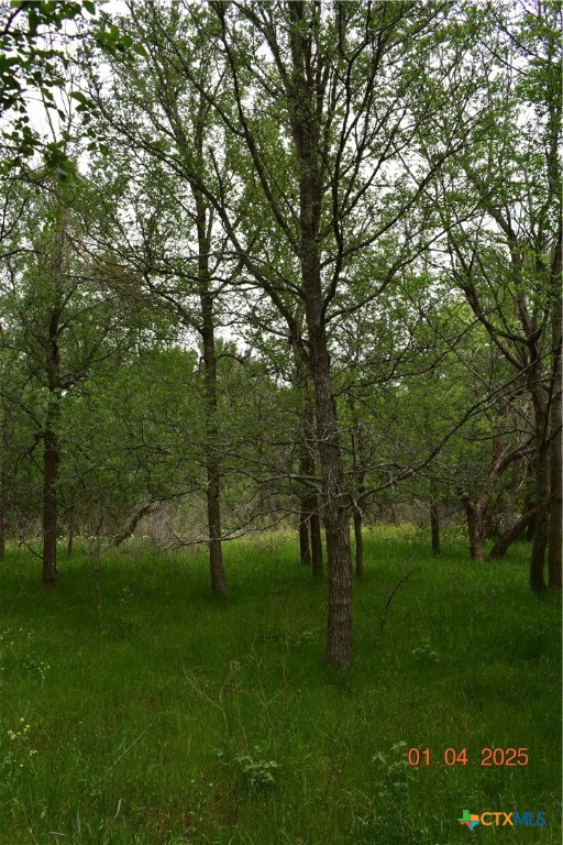 000tbd Caney Creek Road Property Photo 5