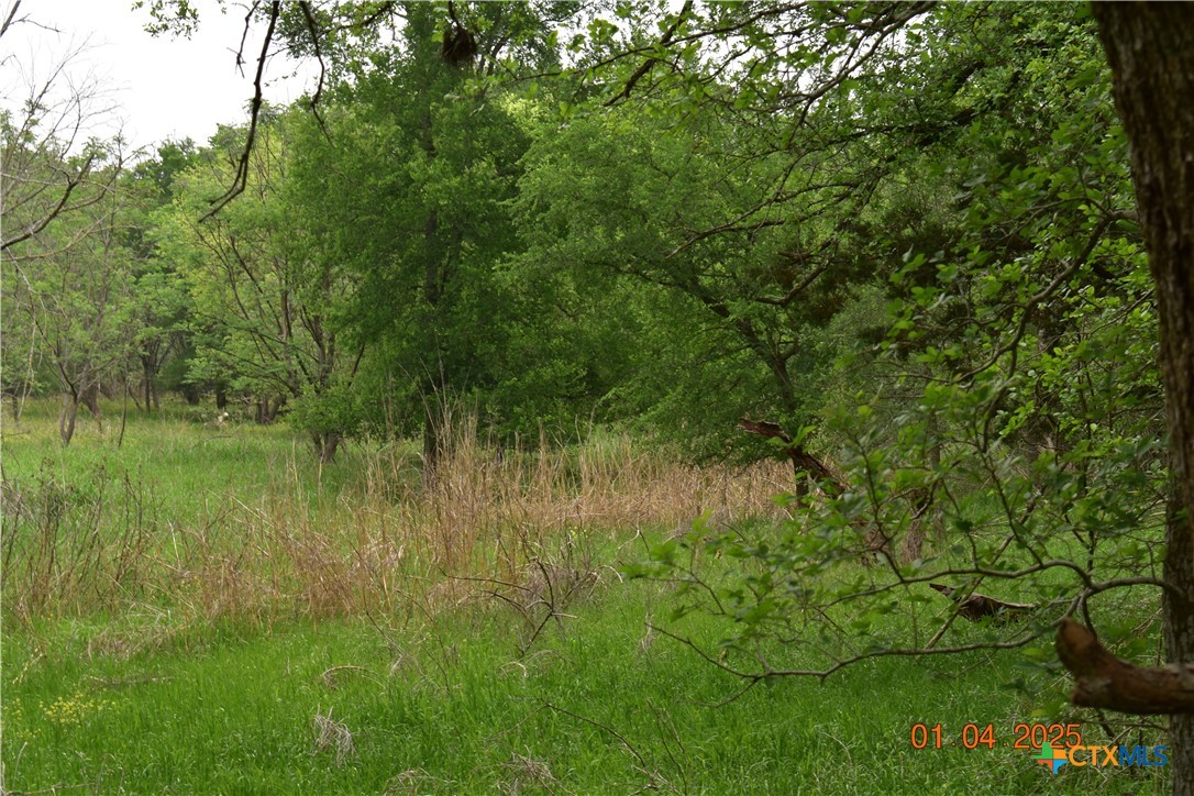 000 Caney Creek Road Property Photo 4