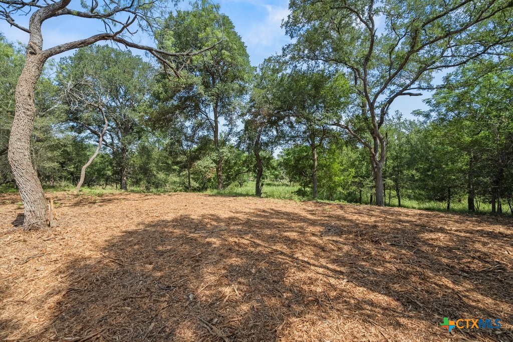 000 Caney Creek Road Property Photo 7