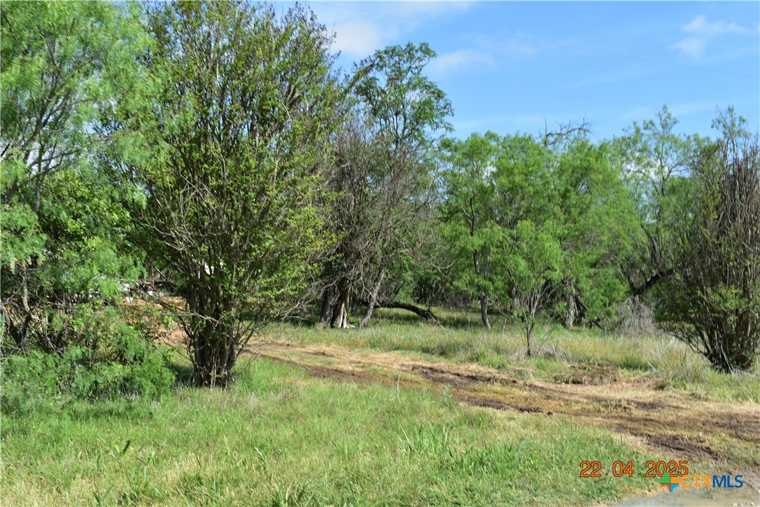 000 Caney Creek Road Property Photo 9