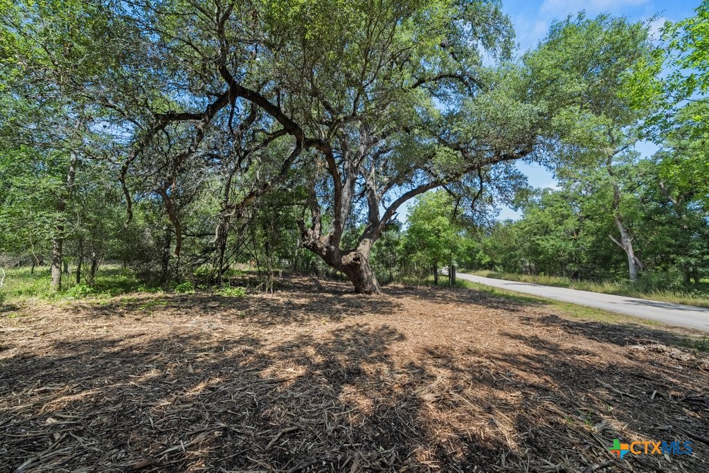 240 Caney Creek Road Property Photo 1
