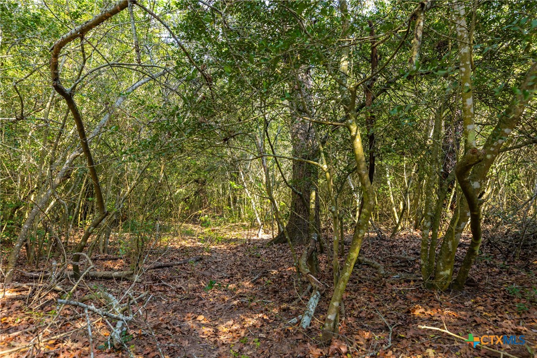 Tbd 50 Acres Hwy 304 Property Photo 9