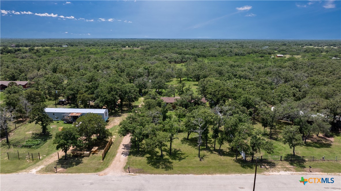 102 Fannin Oaks Drive Property Photo 29