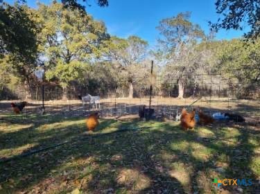 627 County Road 3376 Property Photo 26
