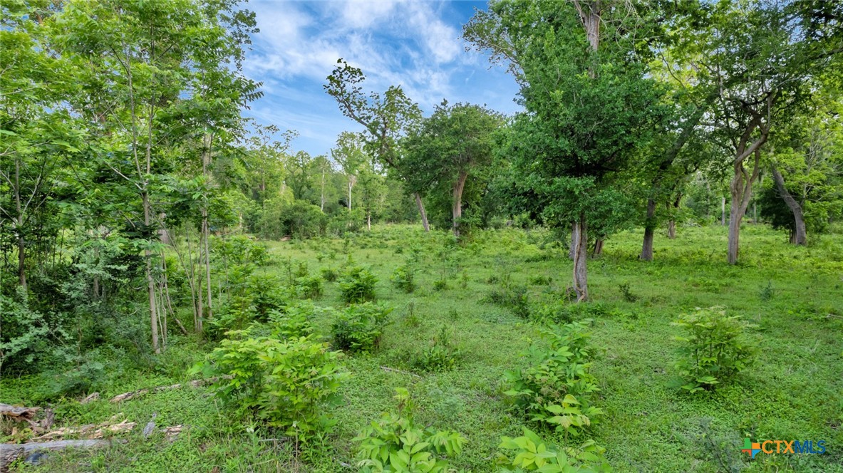 000 San Antonio River Road Property Photo 16
