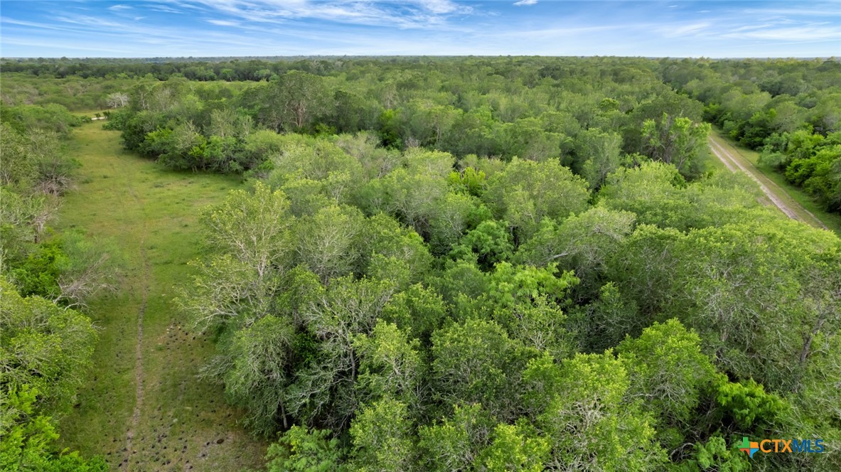 000 San Antonio River Road Property Photo 29