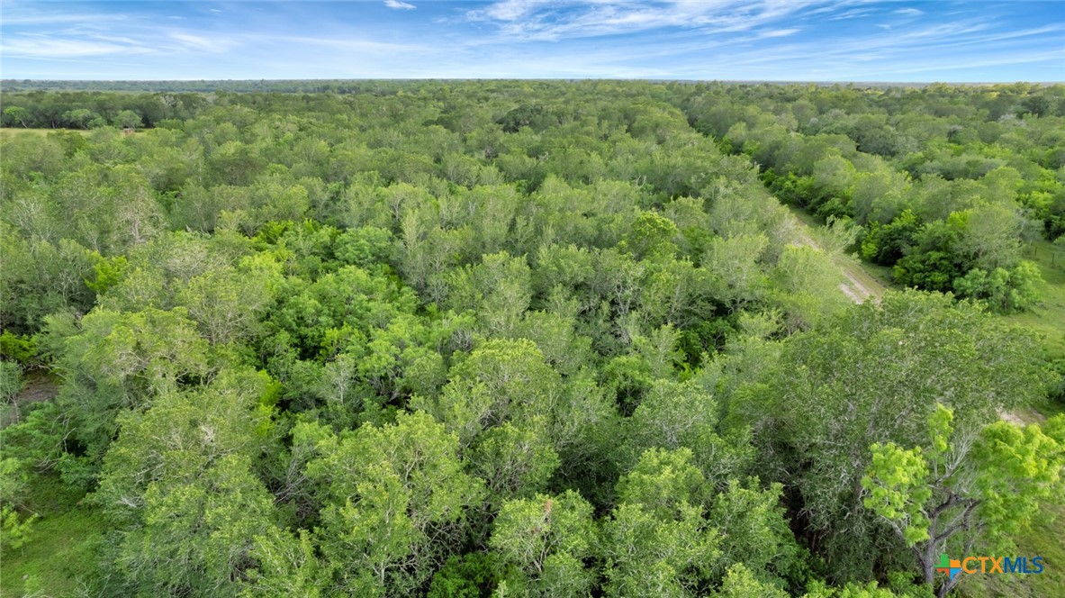 000 San Antonio River Road Property Photo 30