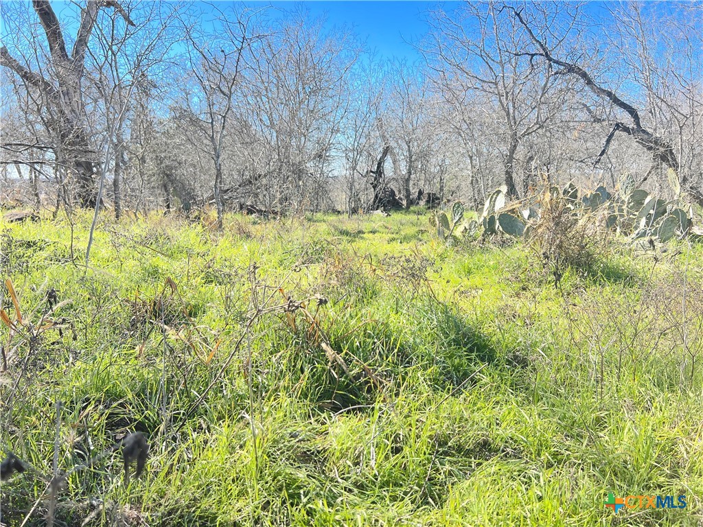 5912 Tenney Creek Road Property Photo 1
