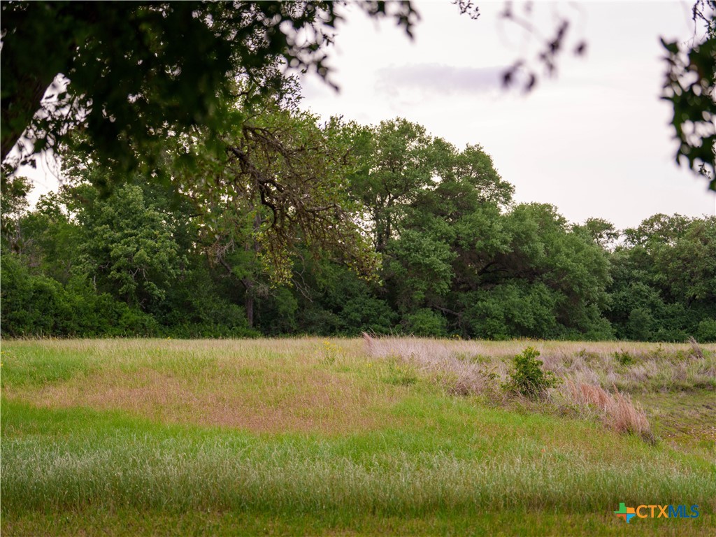 182 Grassy Creek Road Property Photo 14