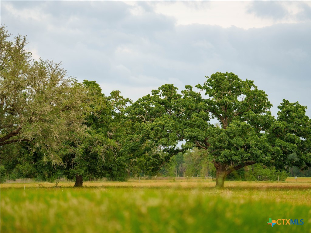 182 Grassy Creek Road Property Photo 15
