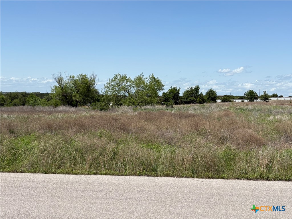 1229 Holden Property Photo 1