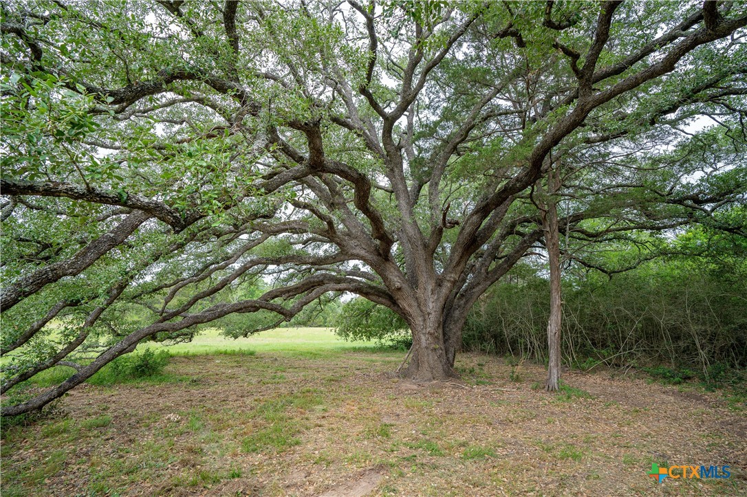 Tbd Fm 713 Highway Property Photo 1