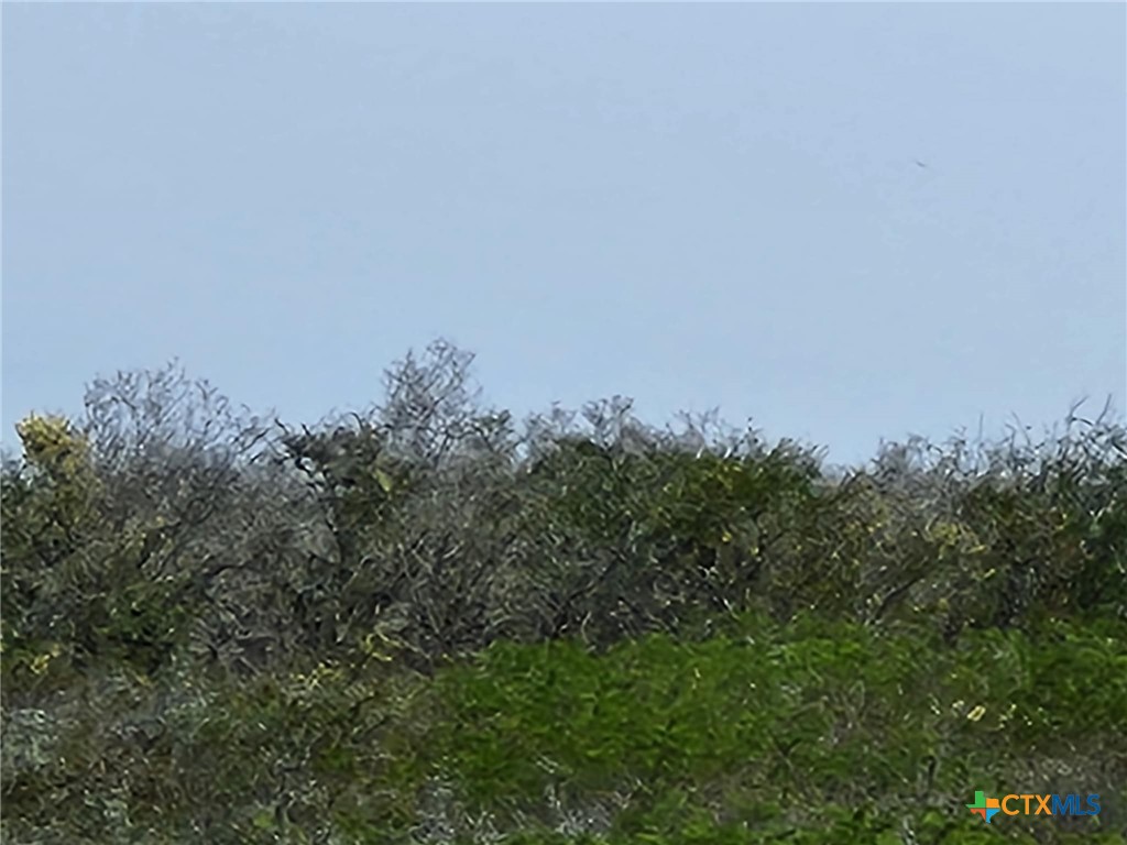 00 Live Oak Spur