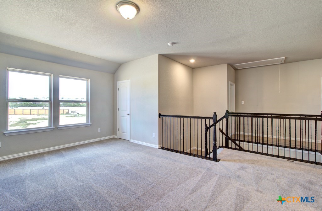 850 Saltbush Street Property Photo 19