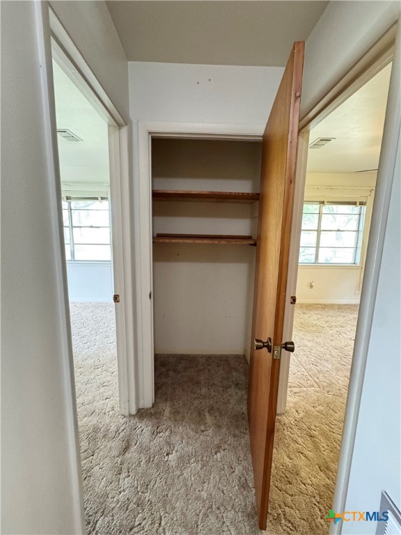 110 Edinburgh Street Property Photo 9