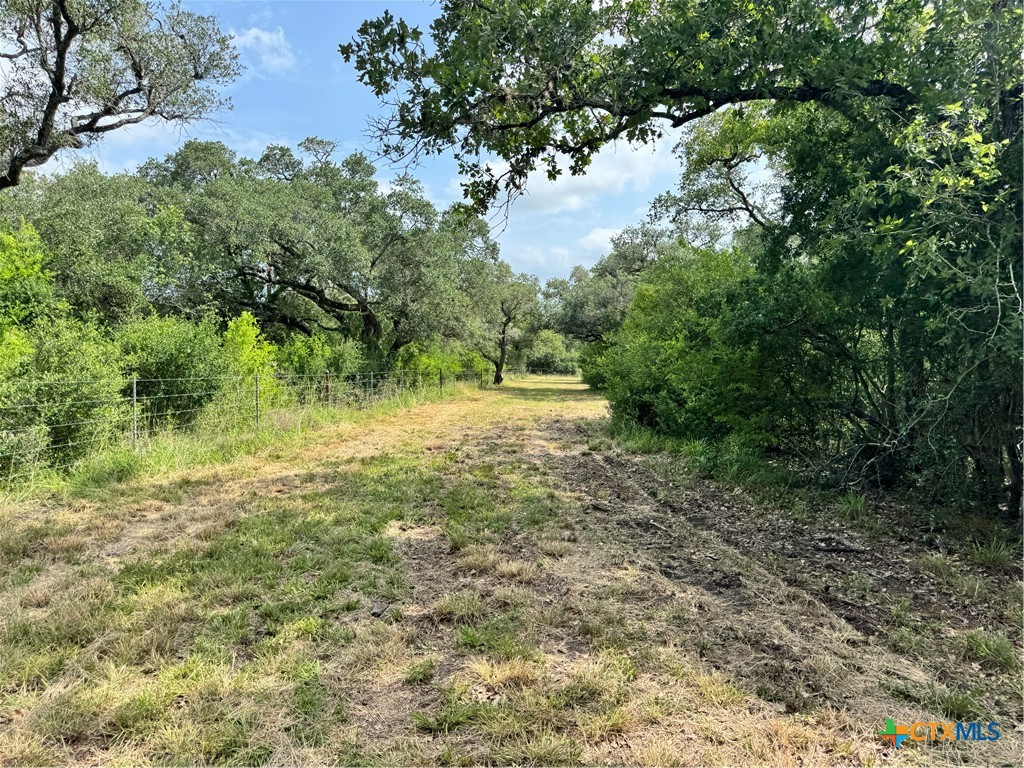 503 Oak Forest Road Property Photo 35