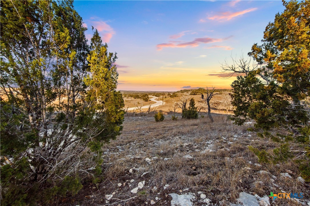 1069 Purple Sage Trail Property Photo 1