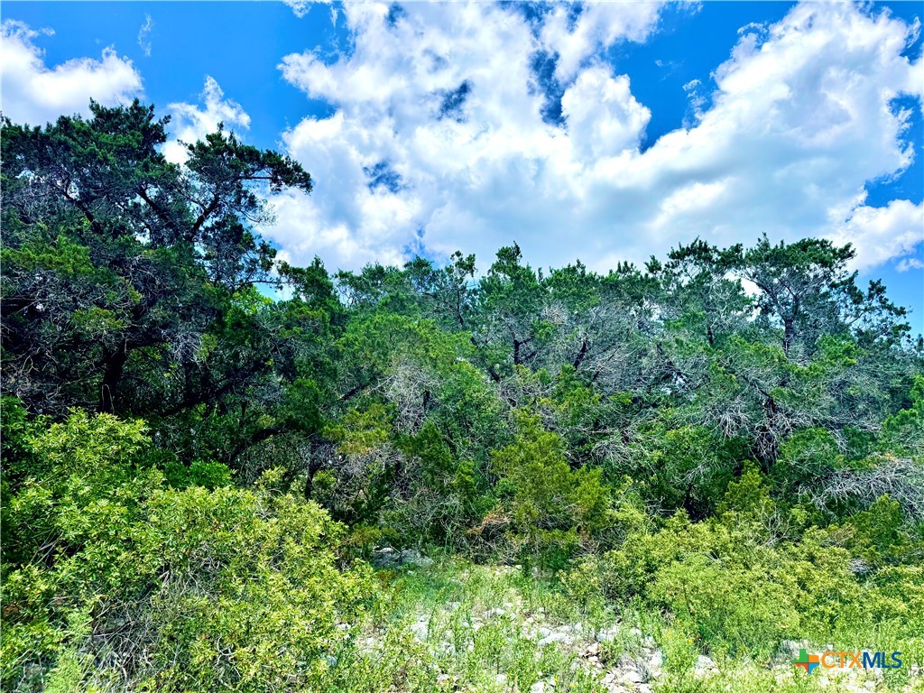 LOT 2, UNIT 4 Private Rd 2771