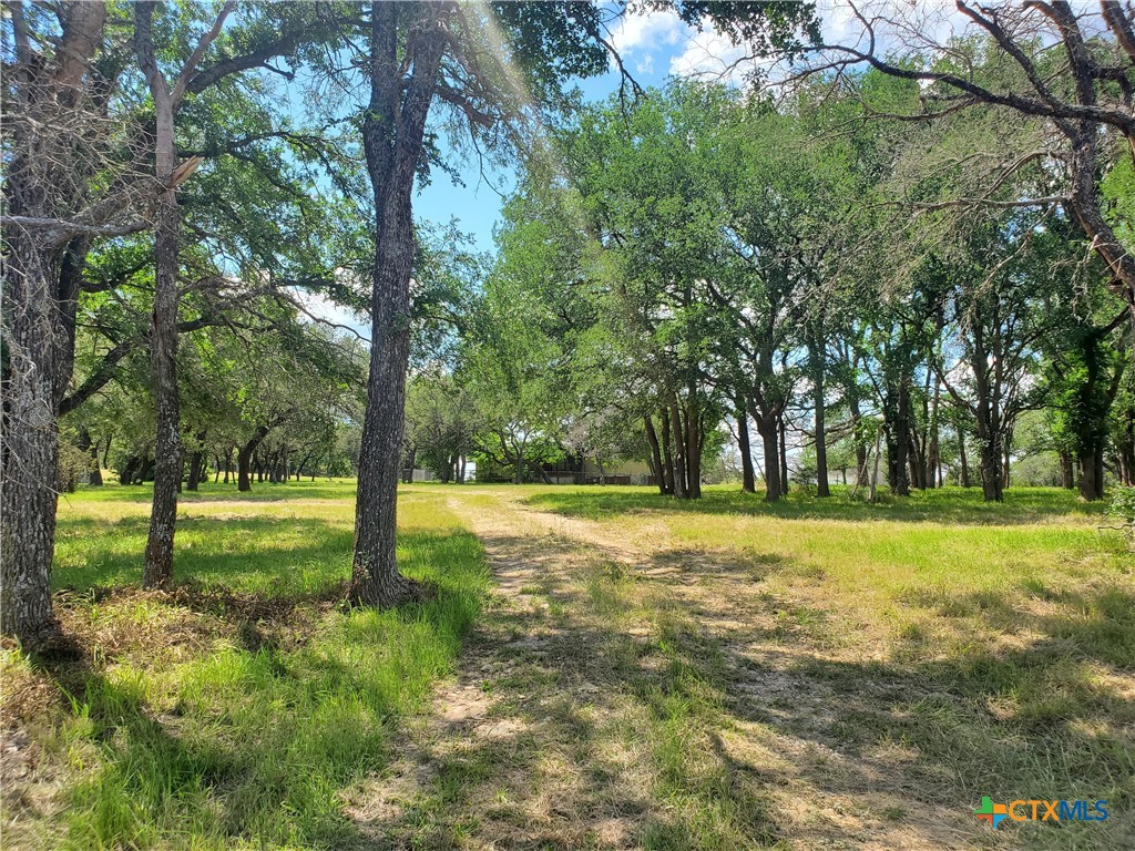 471 King Ranch Road Property Photo 31
