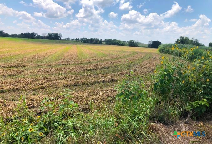 Tbd County Road 421 Property Photo 3