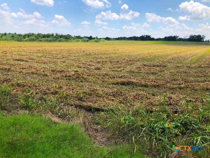 Tbd County Road 421 Property Photo 4