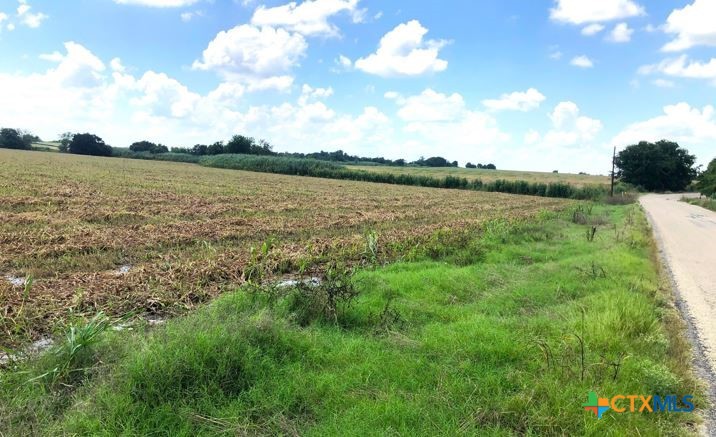 Tbd County Road 421 Property Photo 6