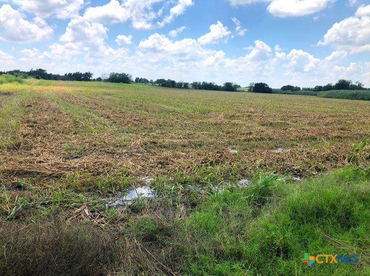 Tbd County Road 421 Property Photo 7