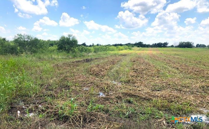 Tbd County Road 421 Property Photo 8