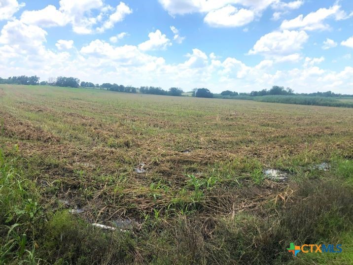 Tbd County Road 421 Property Photo 9