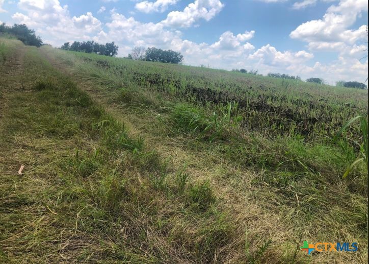 Tbd County Road 421 Property Photo 13